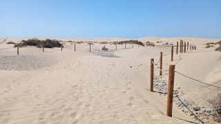 GC-Playa del Ingles 2026-094.jpg